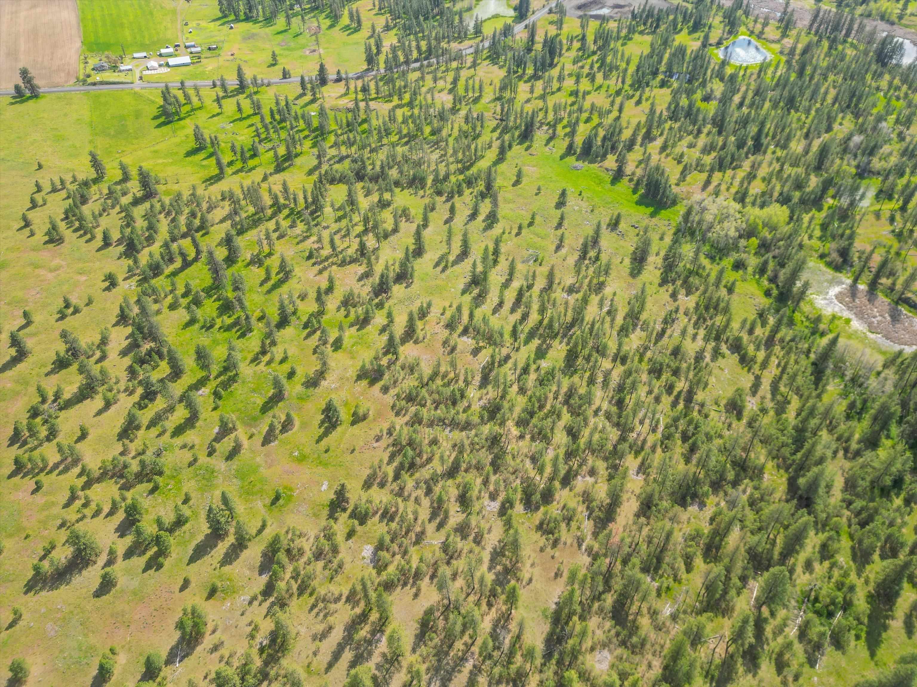 NKA Malloy Prairie Rd - Photo 7