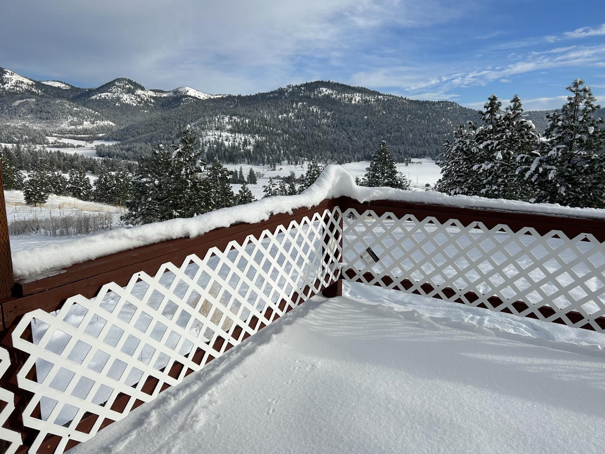 3664 Breckenridge Rd - Photo 50