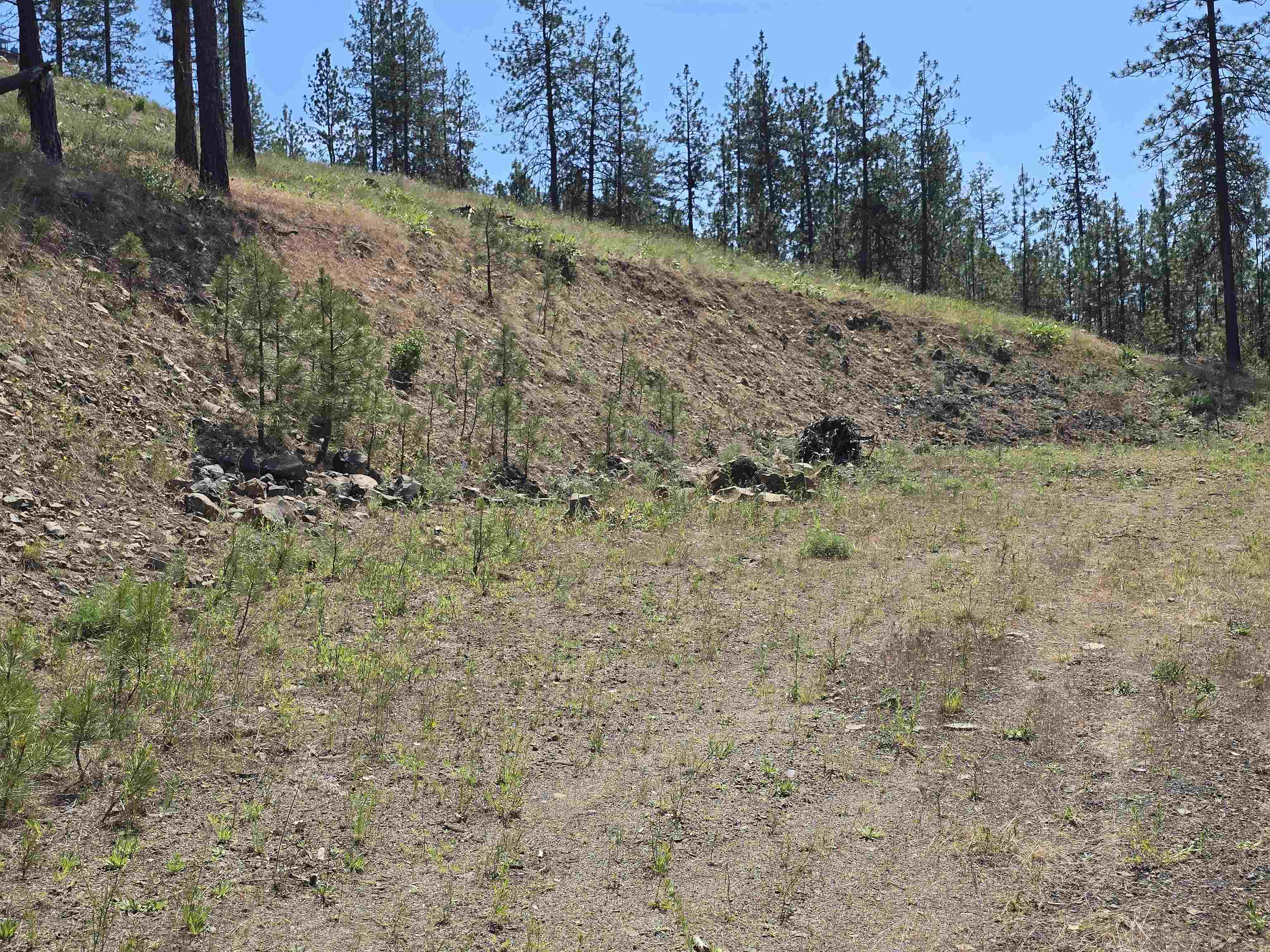 6499 Syringa Way - Photo 33
