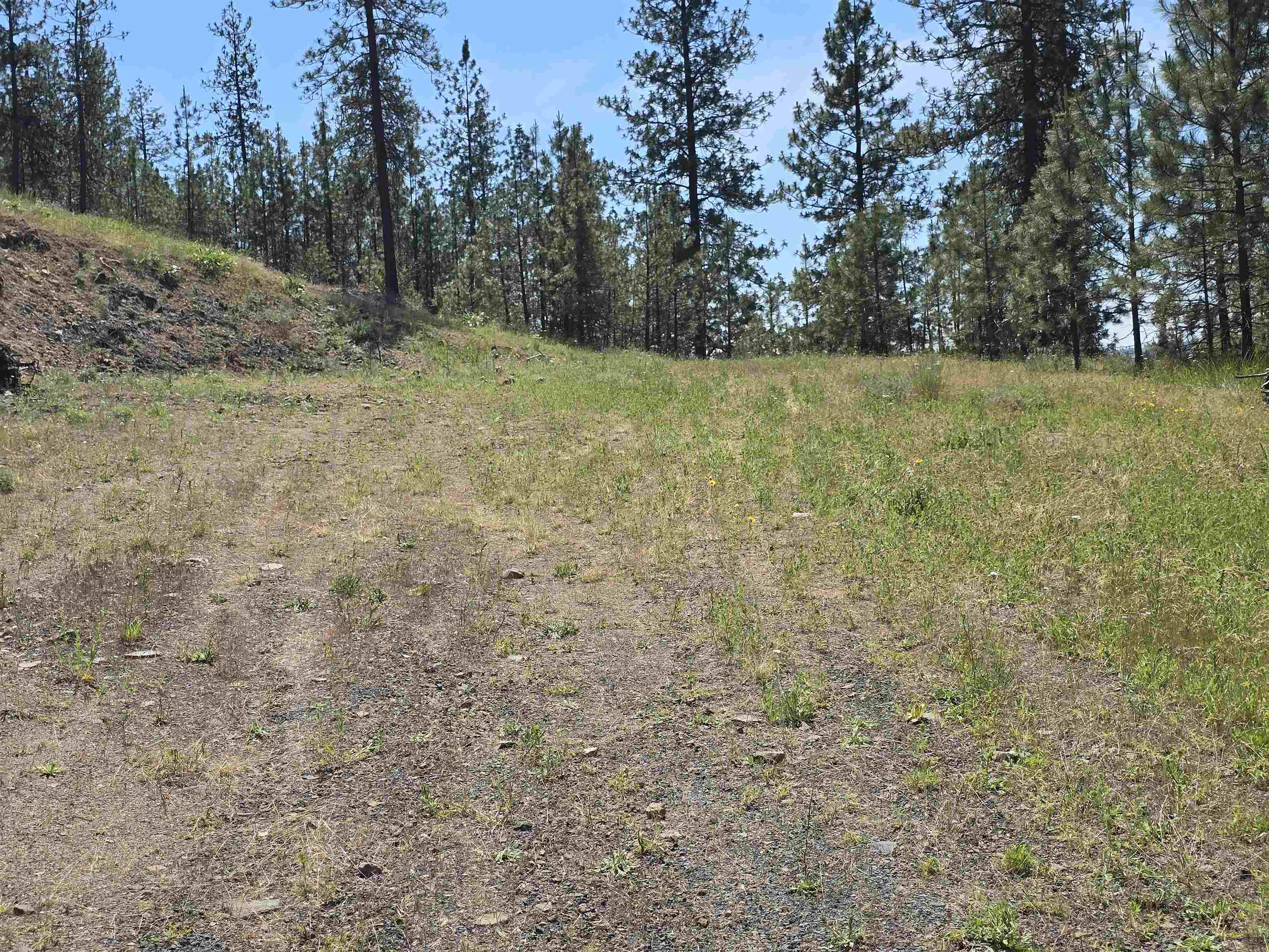 6499 Syringa Way - Photo 34