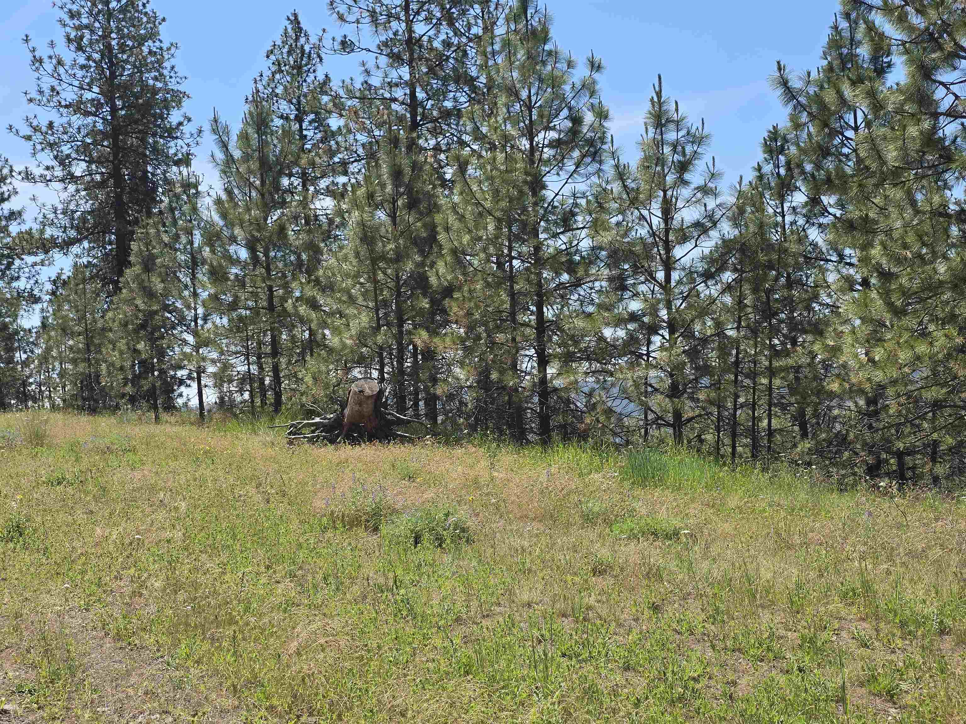 6499 Syringa Way - Photo 35