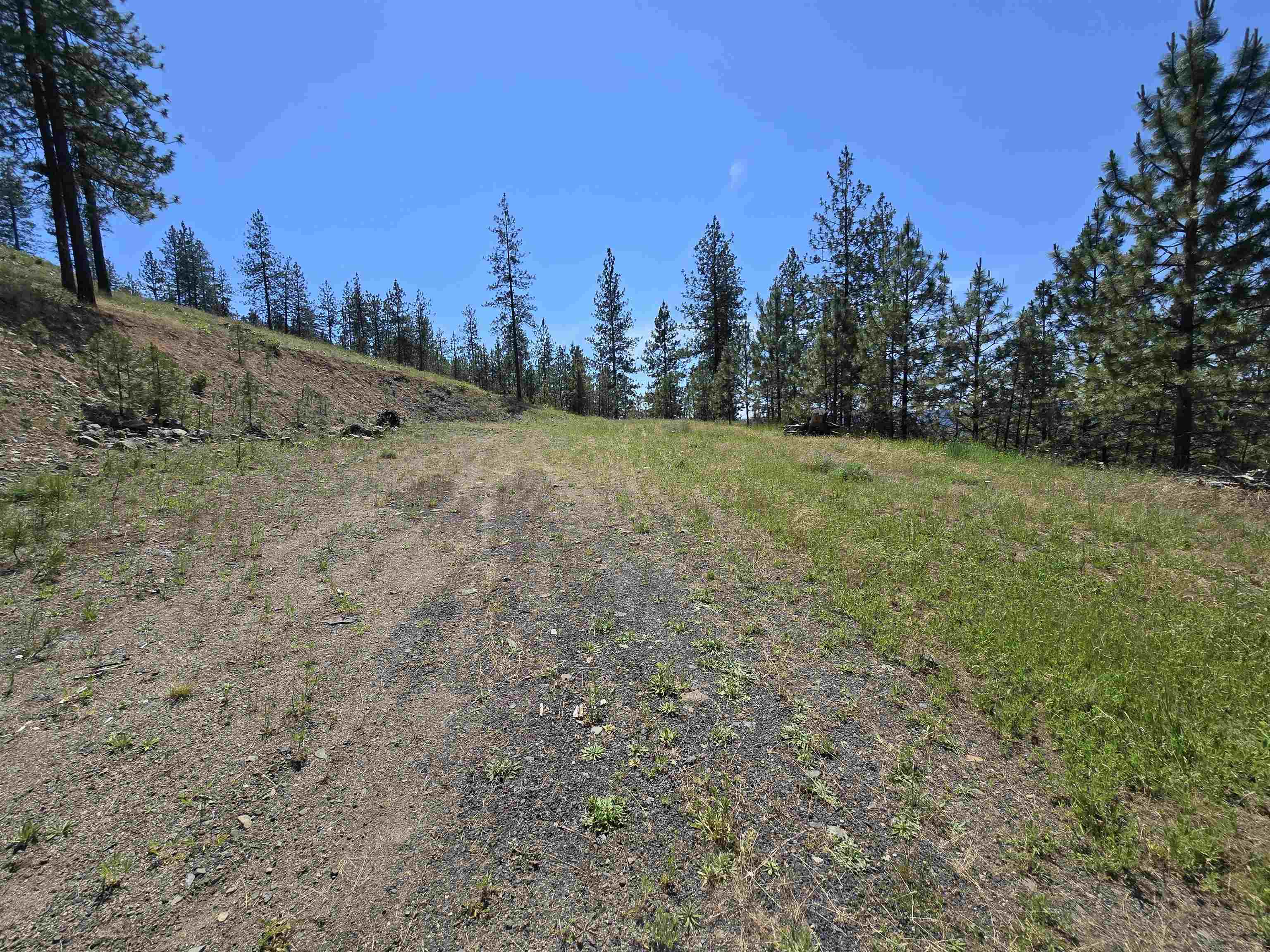 6499 Syringa Way - Photo 36