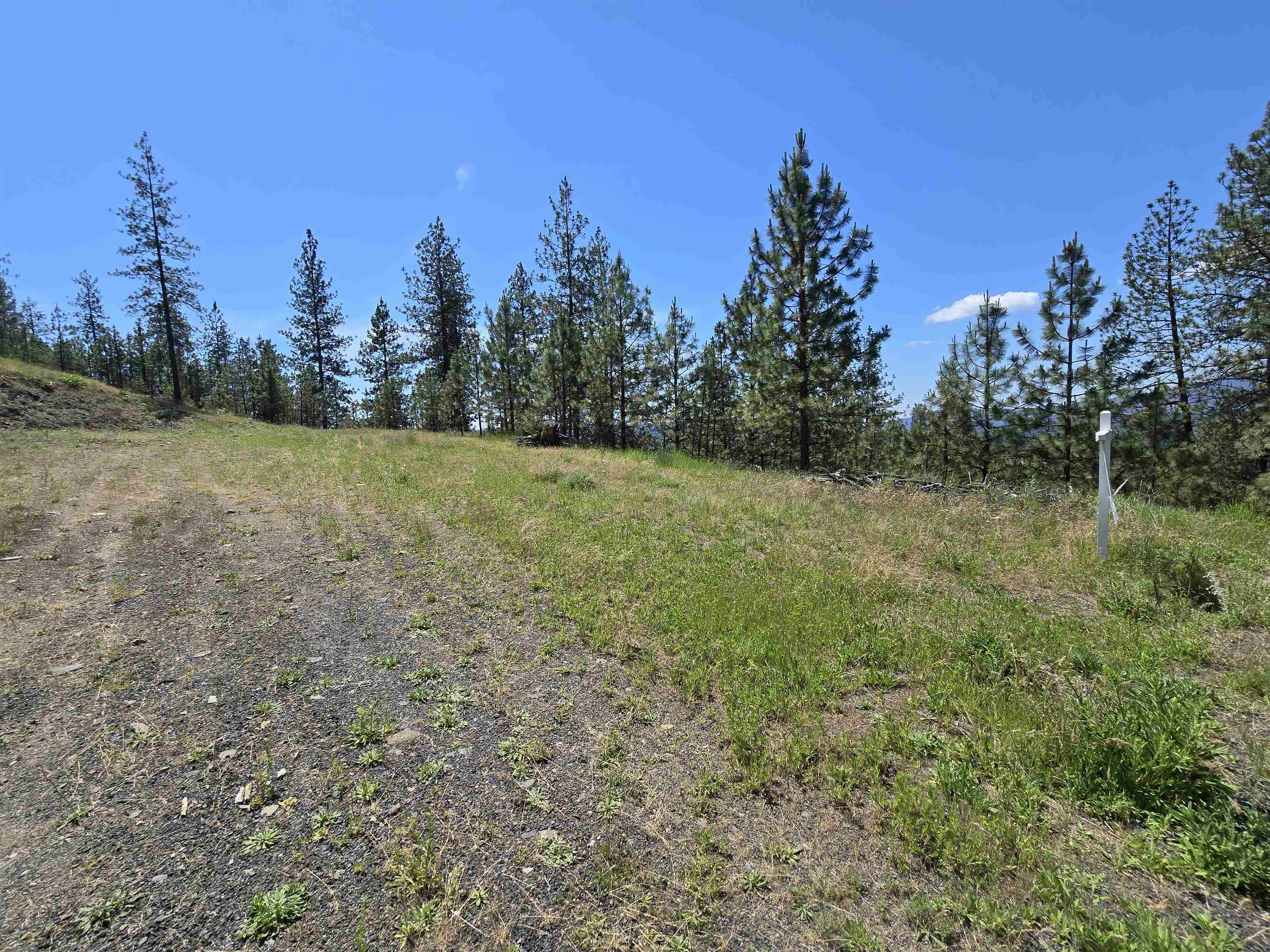 XX Syringa Way - Photo 48
