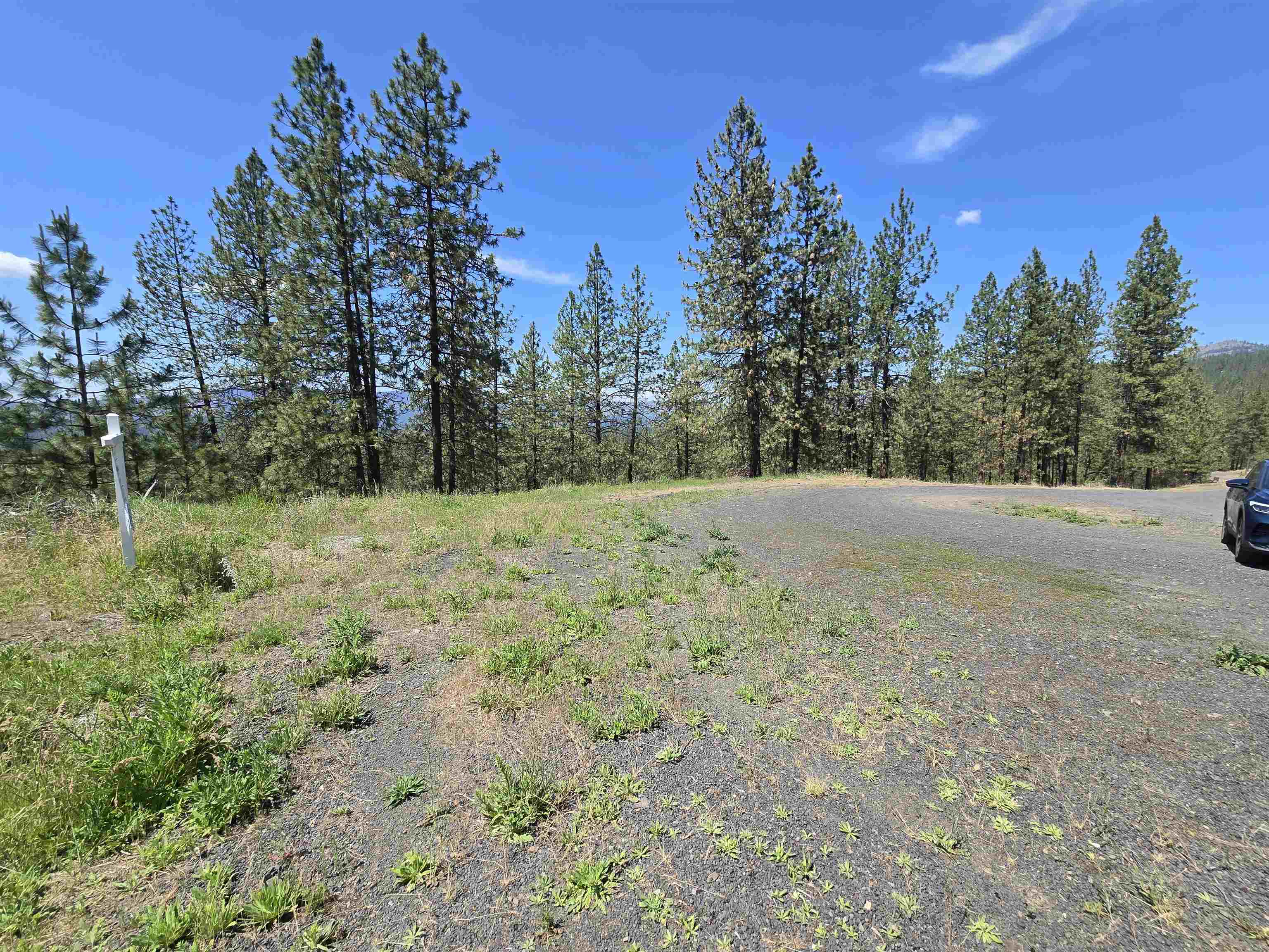 XX Syringa Way - Photo 50