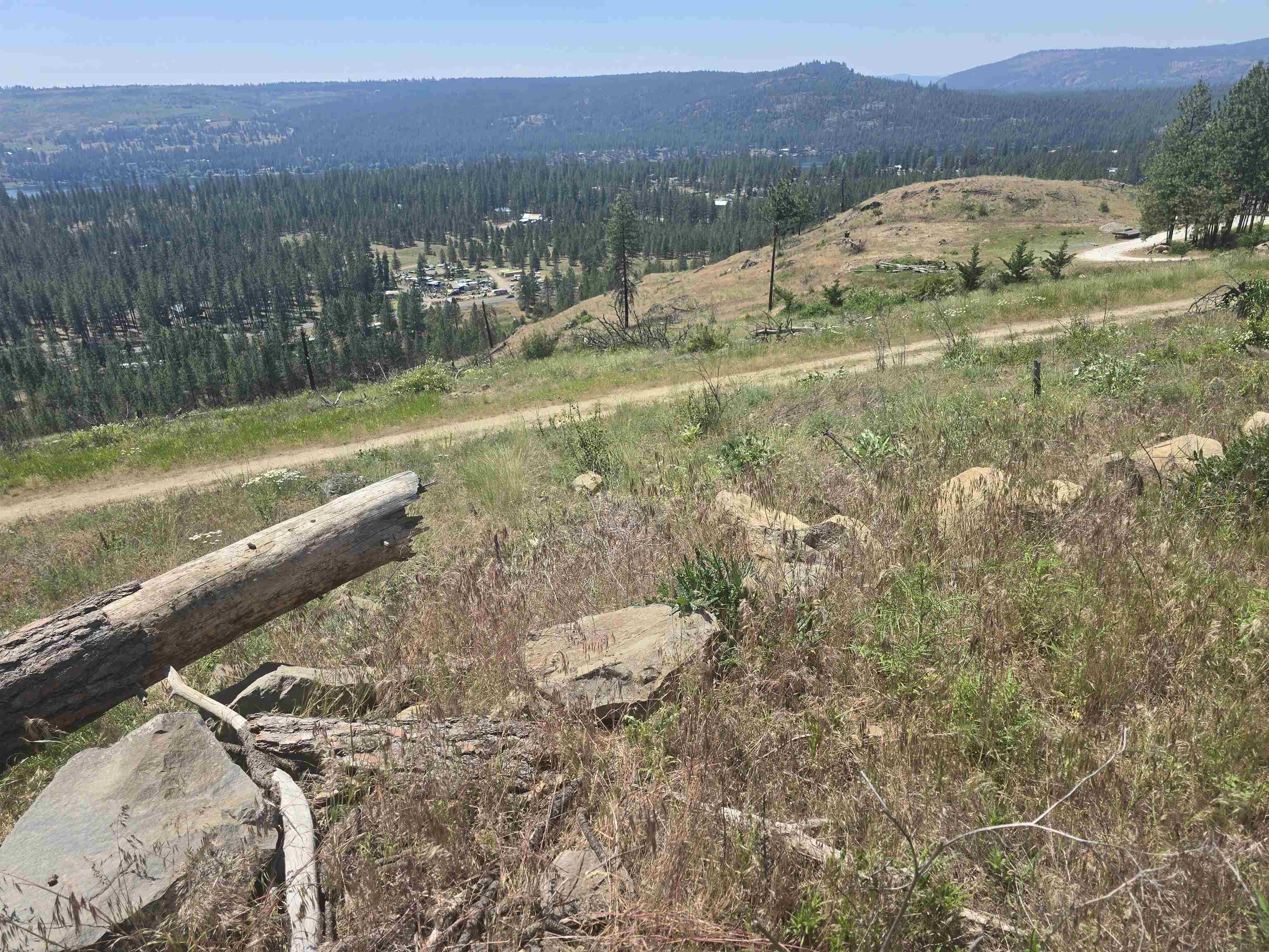 XX Pine Ridge Way - Photo 41