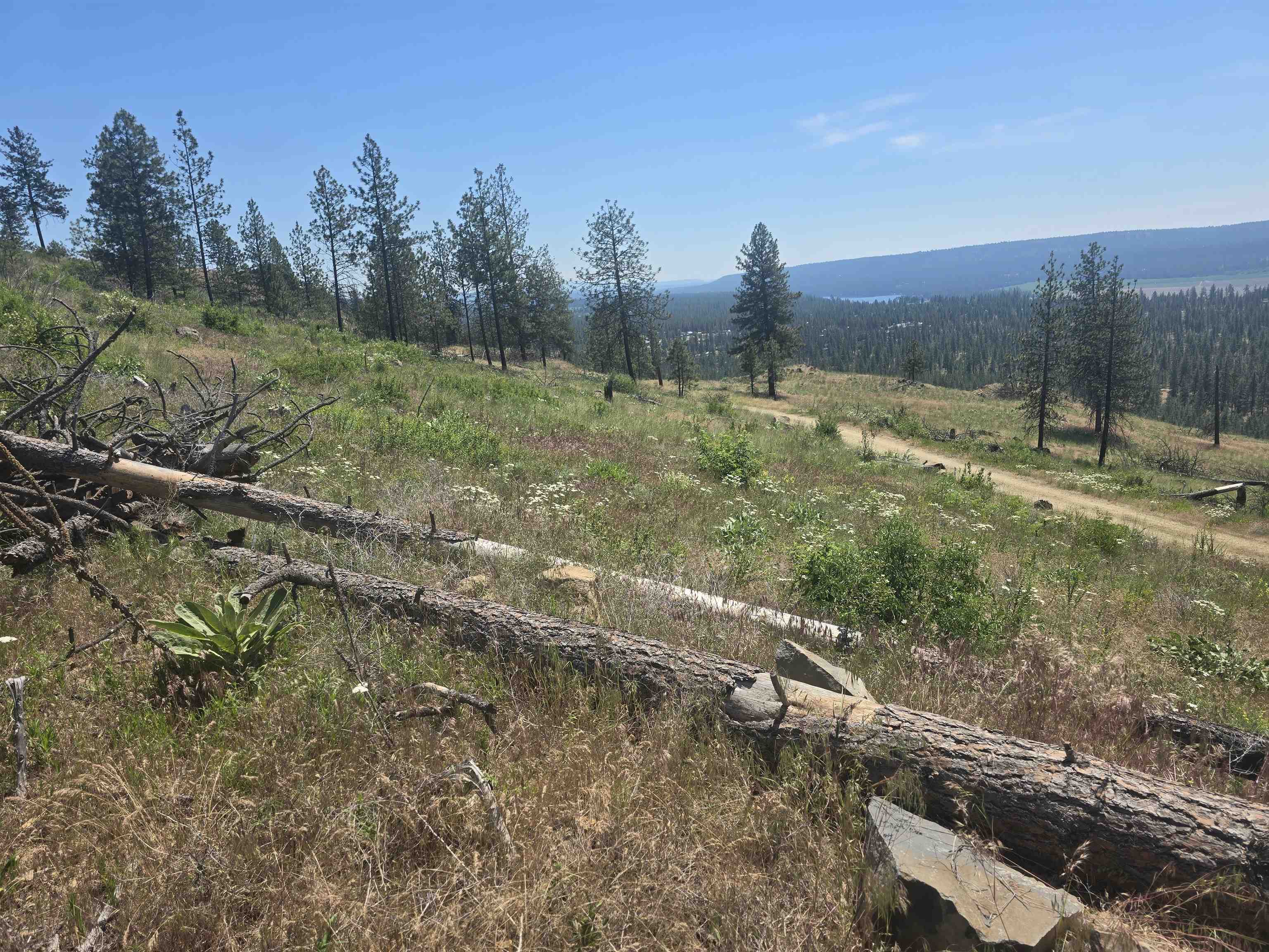 XX Pine Ridge Way - Photo 42