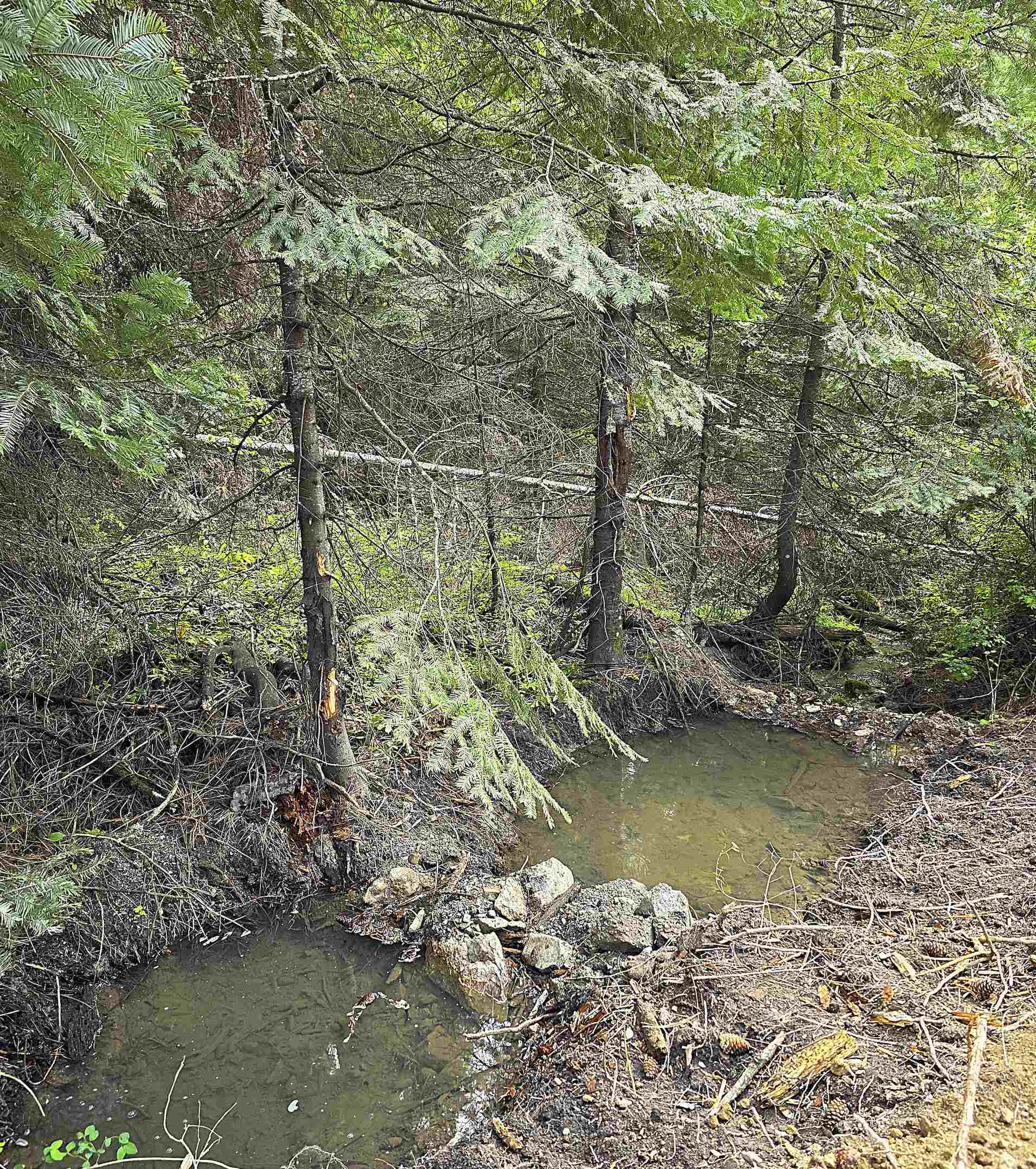 22XXX N Madison Rd - Photo 8