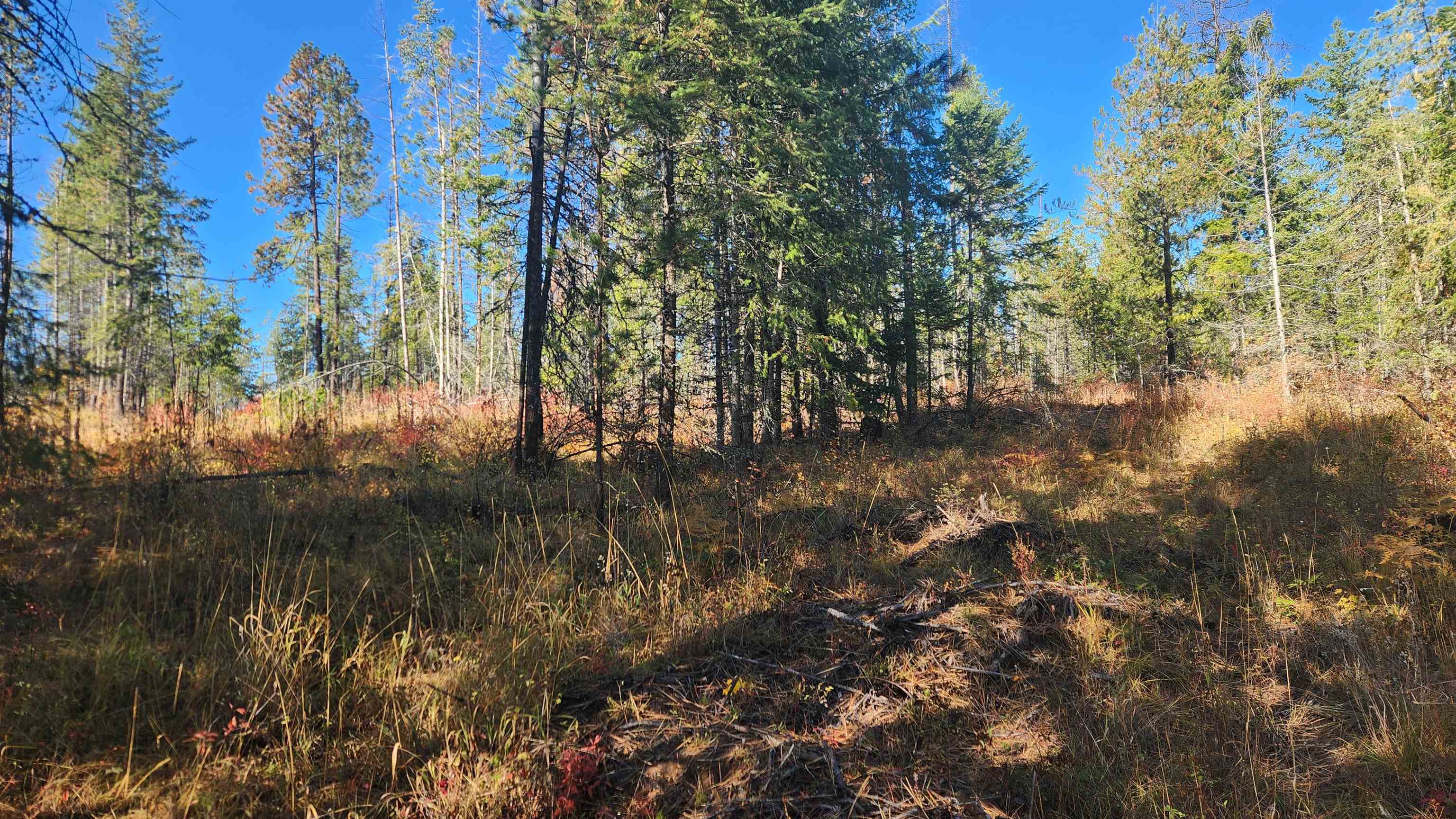 43xx Lyons Hill Rd - Photo 10