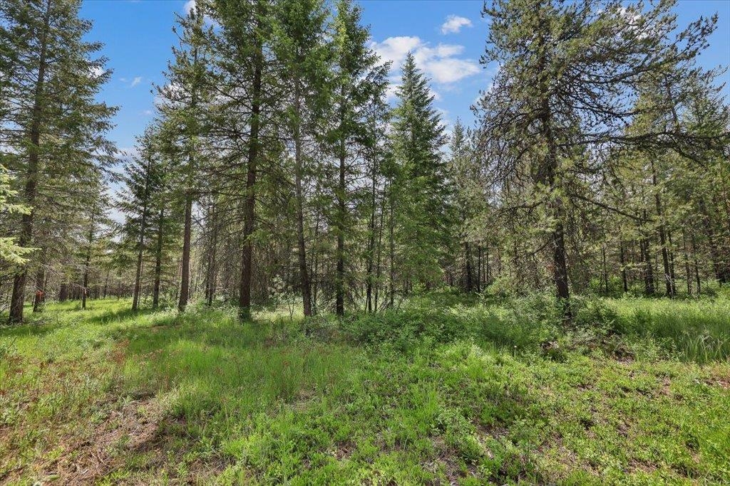 3804 Meadowlark Way - Photo 4