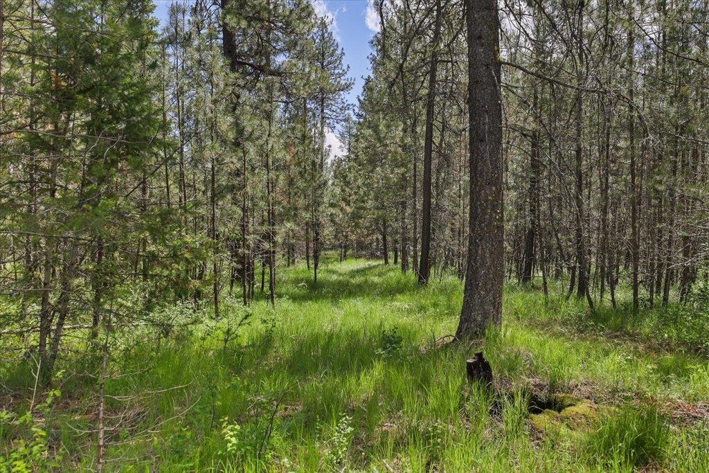 3804 Meadowlark Way - Photo 7