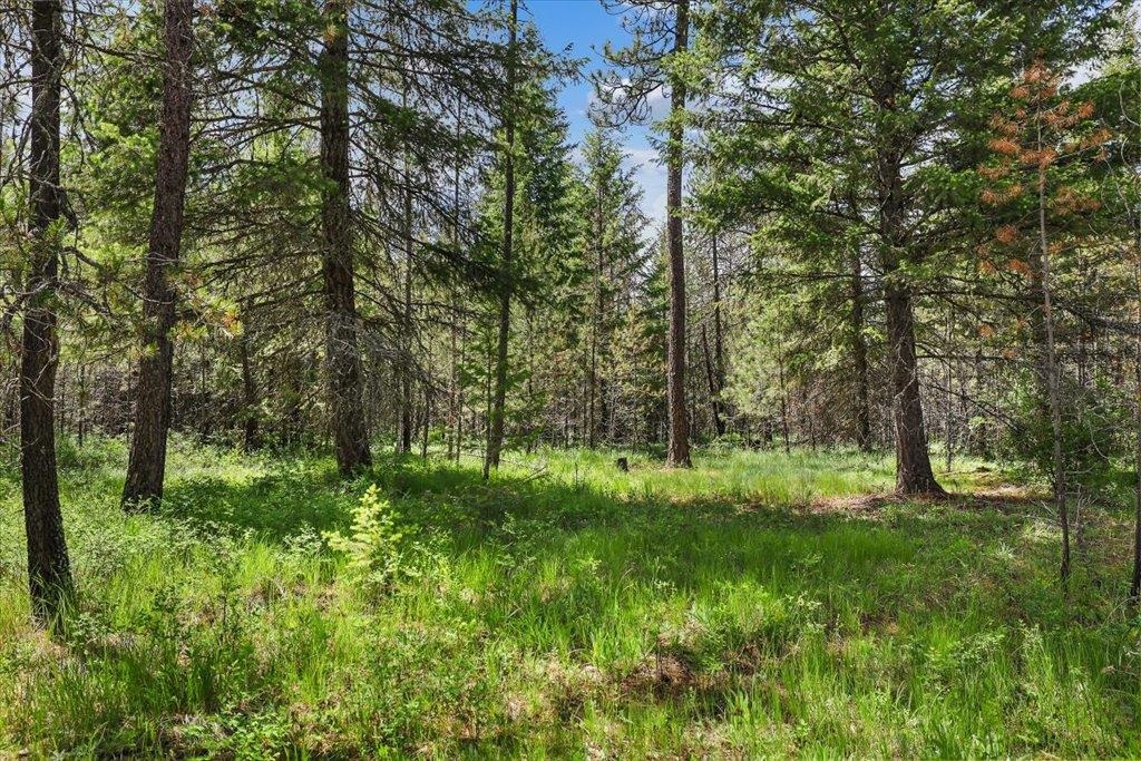 3804 Meadowlark Way - Photo 8