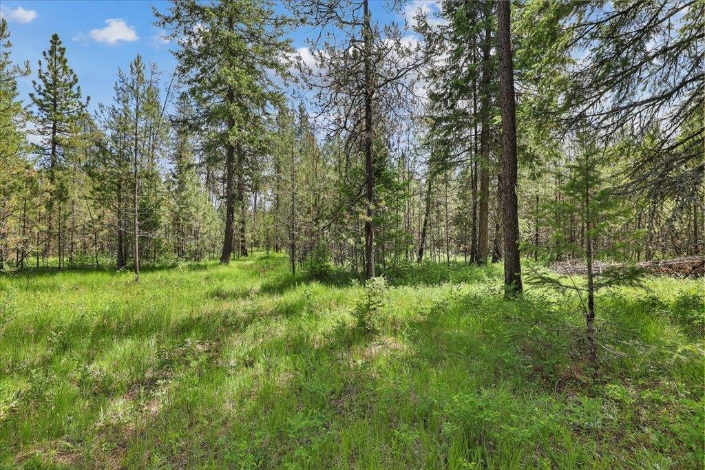 3804 Meadowlark Way - Photo 1