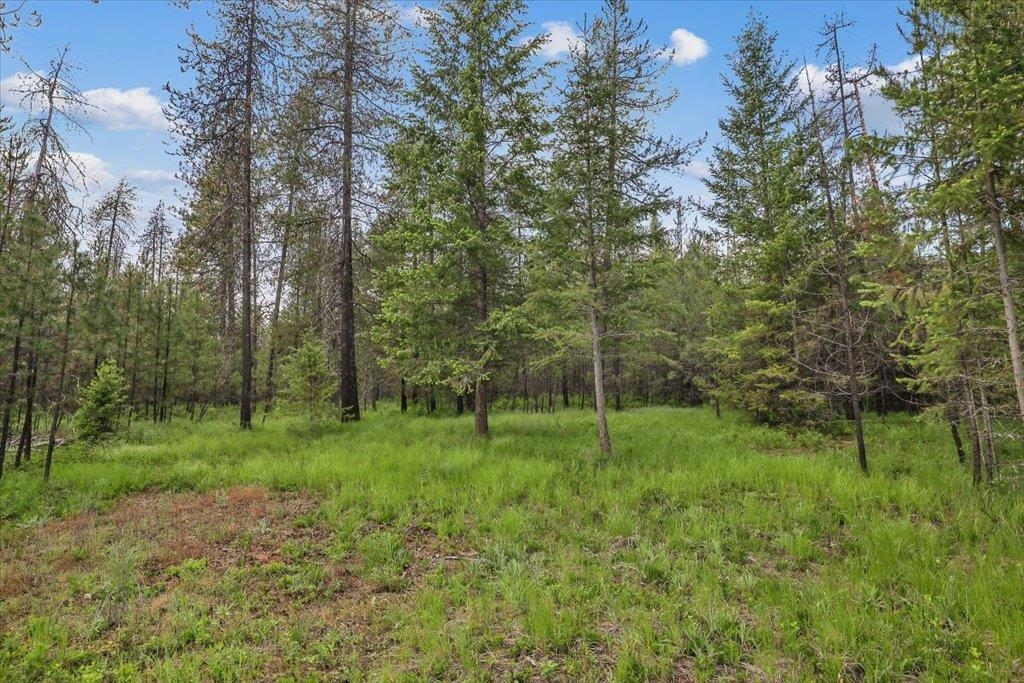 3804 Meadowlark Way - Photo 9