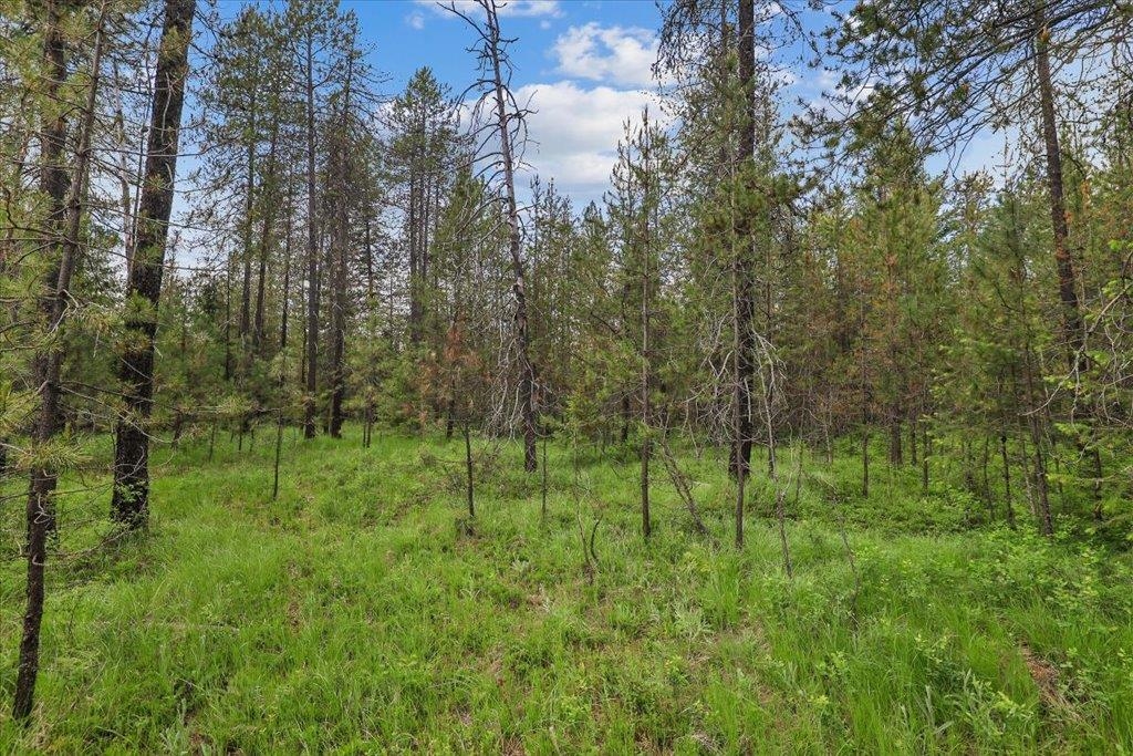 3804 Meadowlark Way - Photo 12