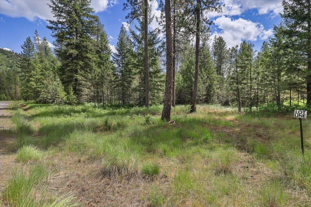 3834 Meadowlark Way - Photo 4