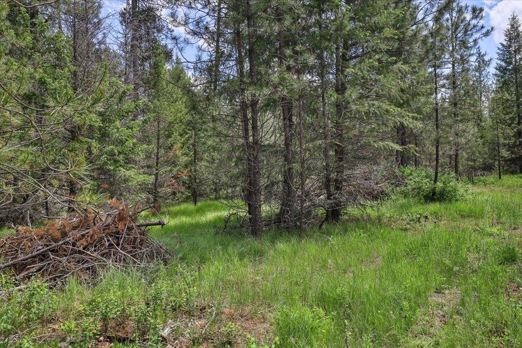 3834 Meadowlark Way - Photo 6