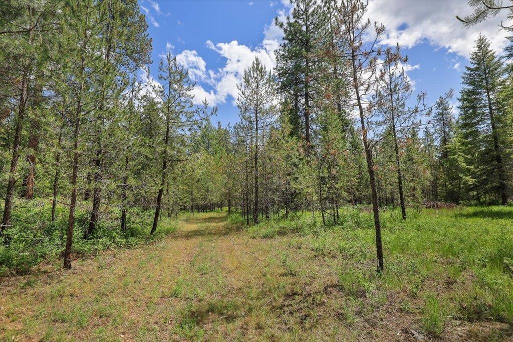 3834 Meadowlark Way - Photo 7