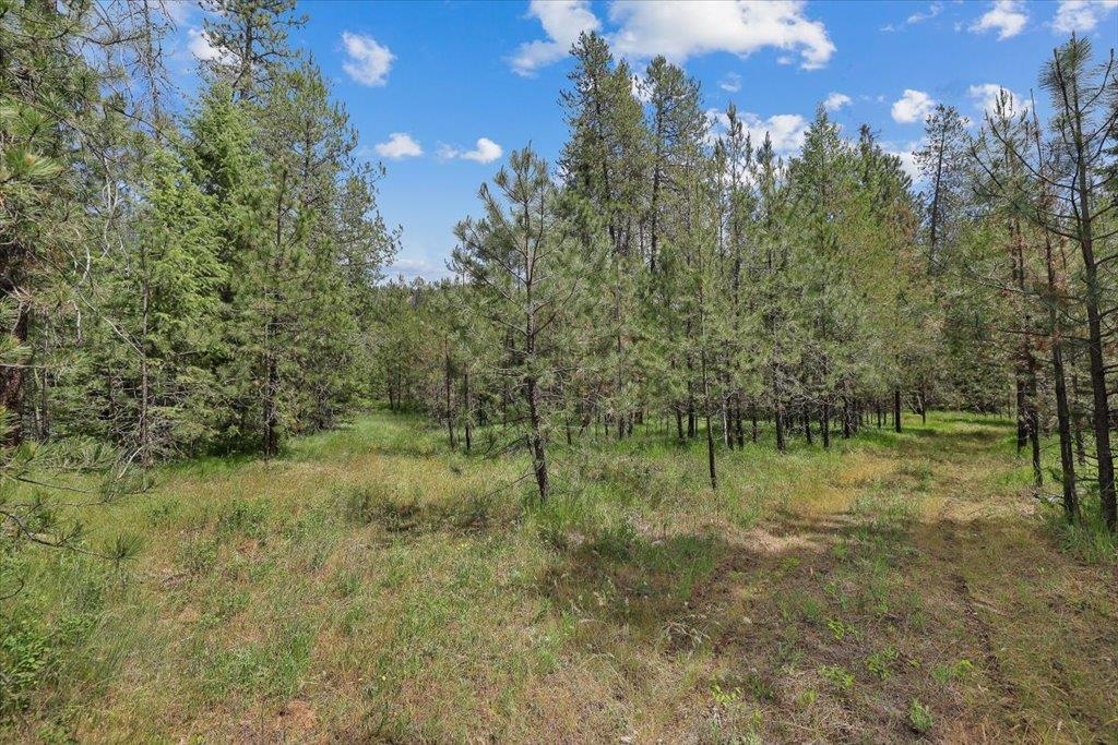 3834 Meadowlark Way - Photo 8