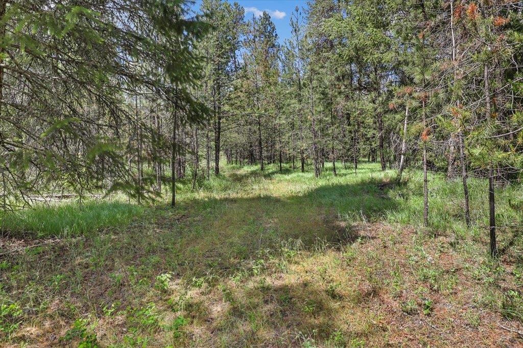 3834 Meadowlark Way - Photo 9