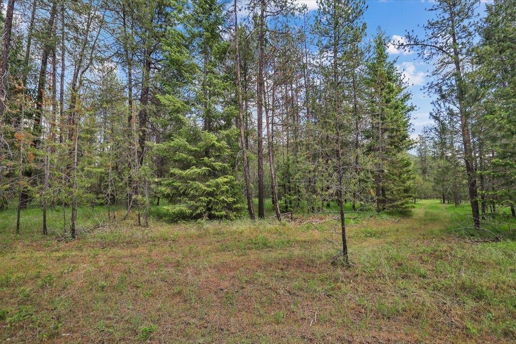 3834 Meadowlark Way - Photo 10