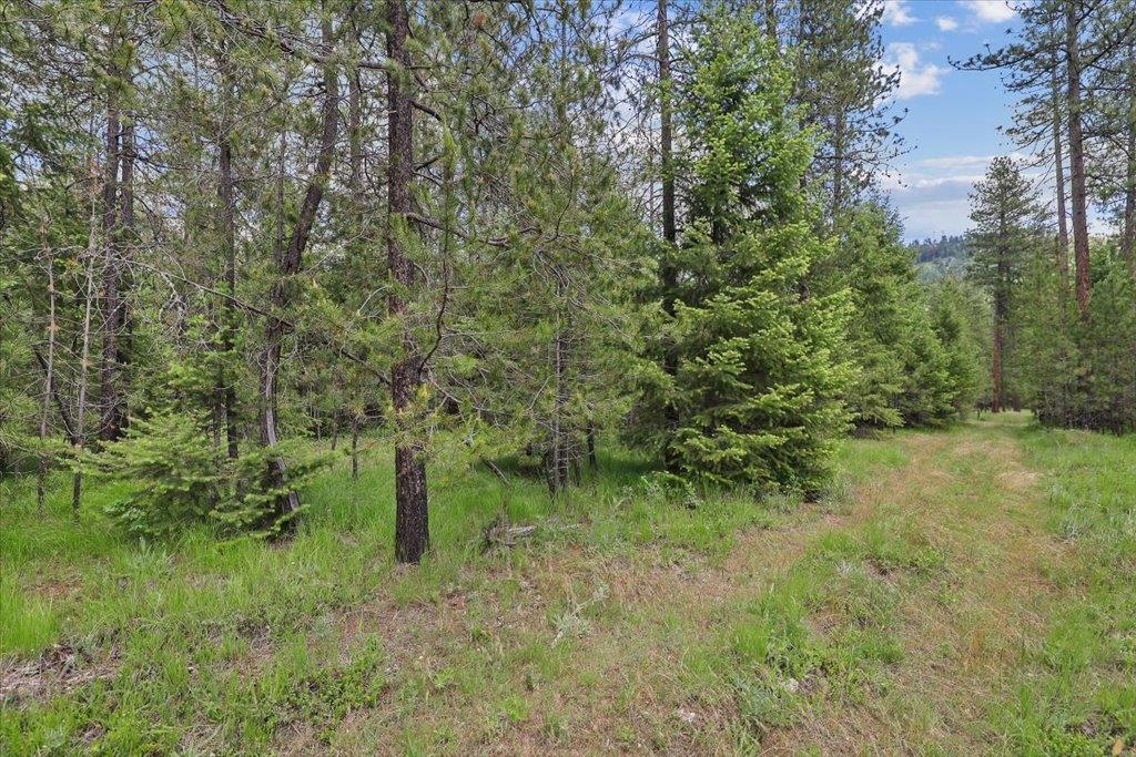 3834 Meadowlark Way - Photo 11