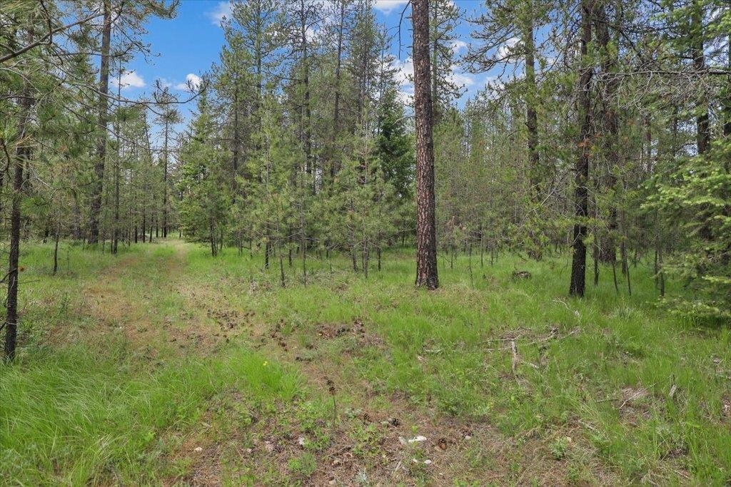 3834 Meadowlark Way - Photo 12
