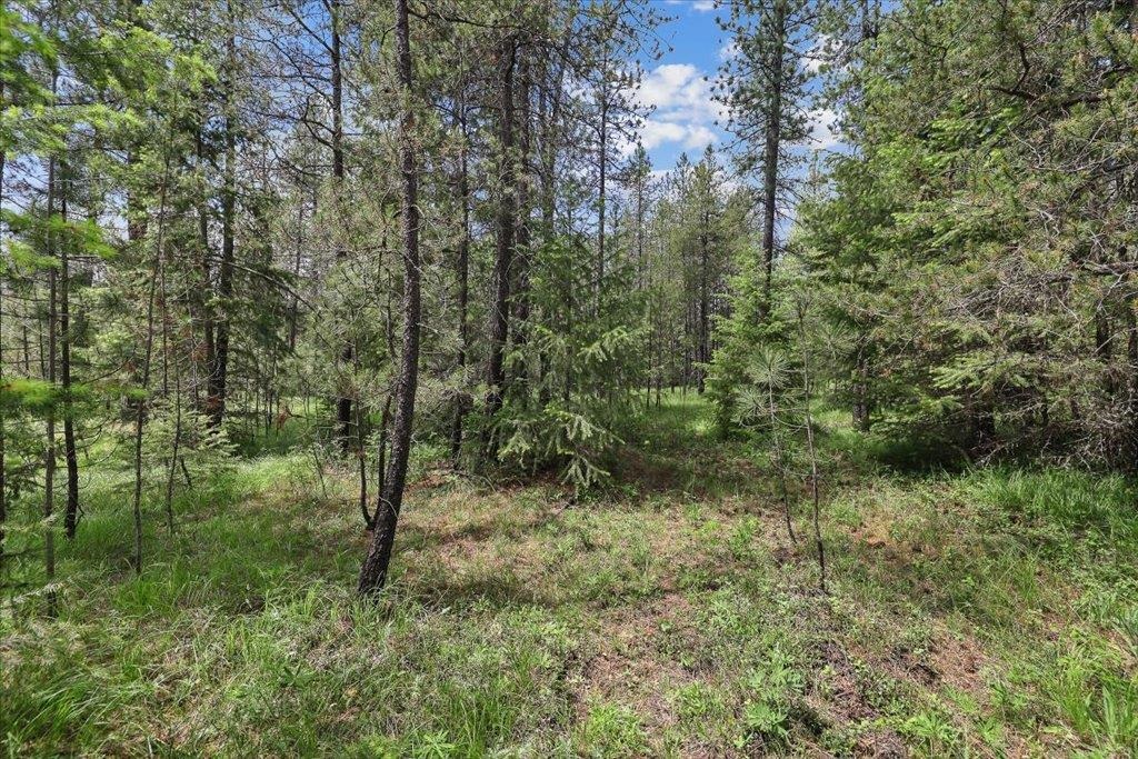 3834 Meadowlark Way - Photo 13