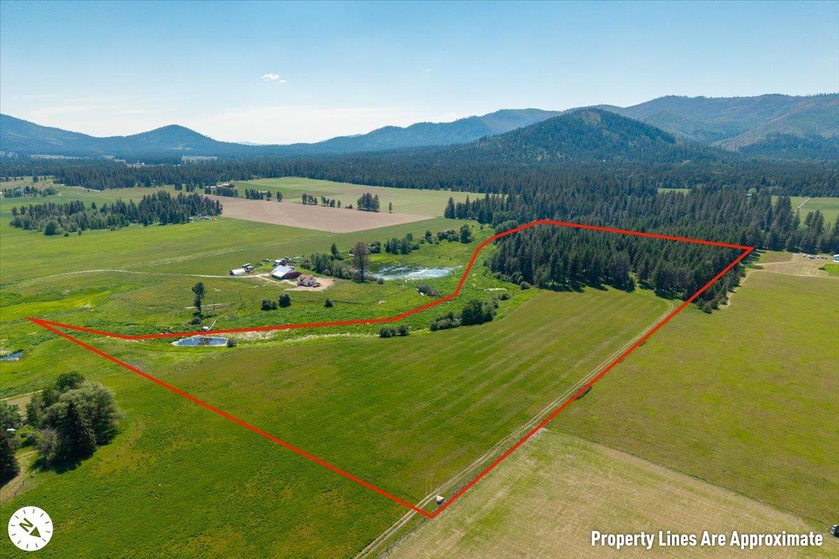 4668 Williams Valley Rd - Photo 2