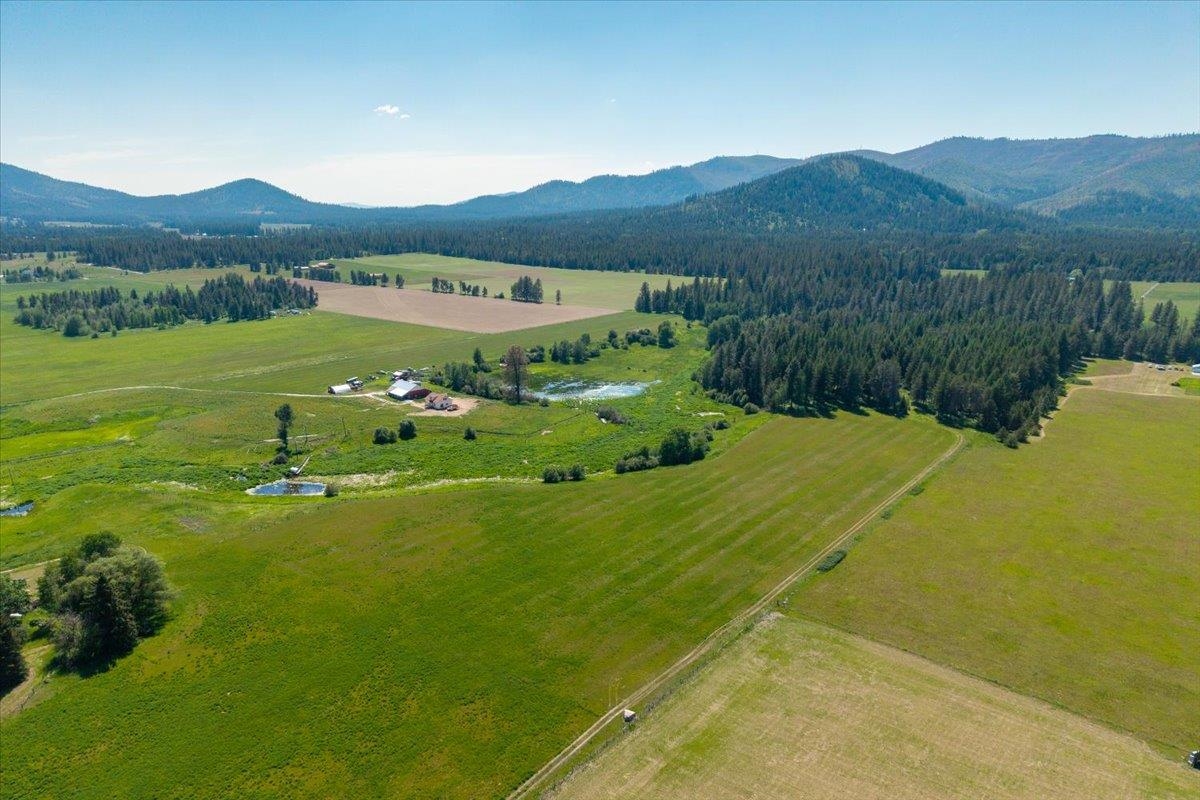 4668 Williams Valley Rd - Photo 3