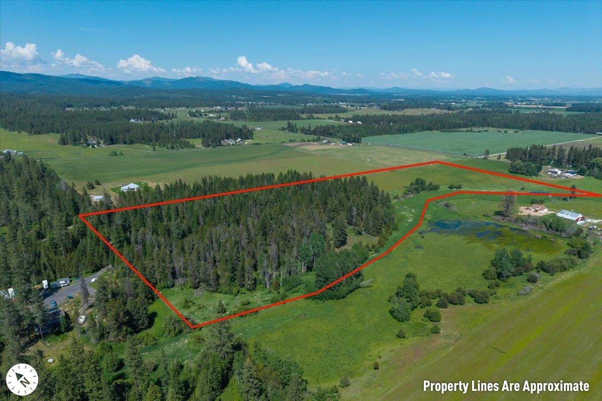 4668 Williams Valley Rd - Photo 6