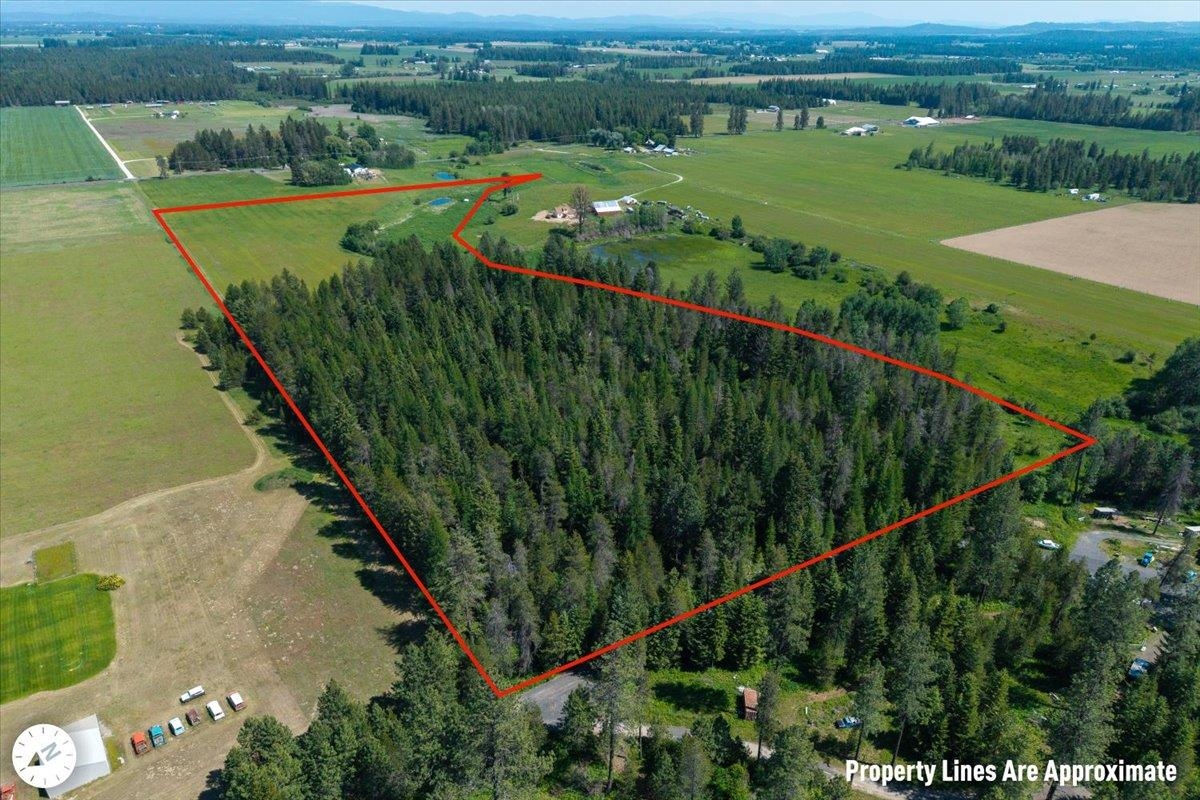4668 Williams Valley Rd - Photo 8
