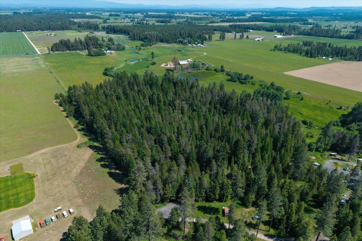 4668 Williams Valley Rd - Photo 9