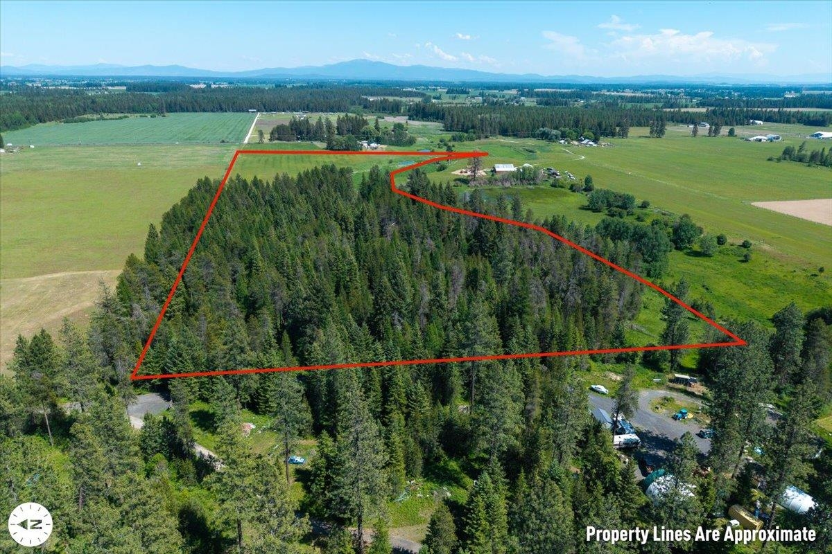 4668 Williams Valley Rd - Photo 10
