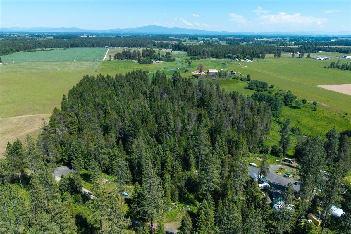 4668 Williams Valley Rd - Photo 11
