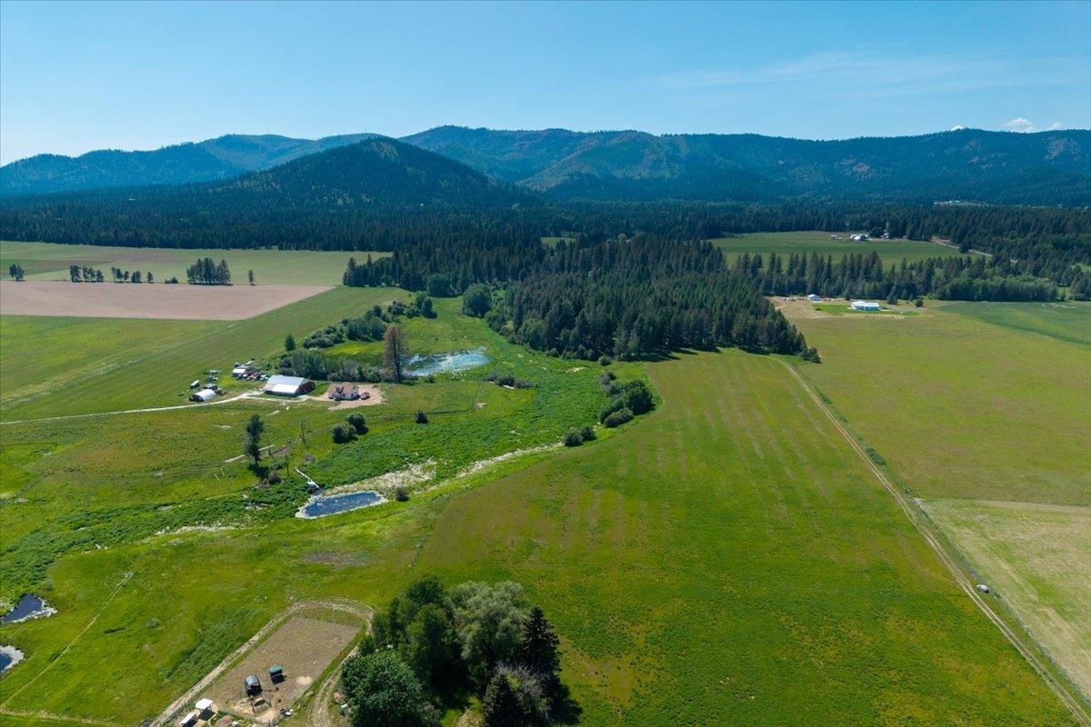 4668 Williams Valley Rd - Photo 12