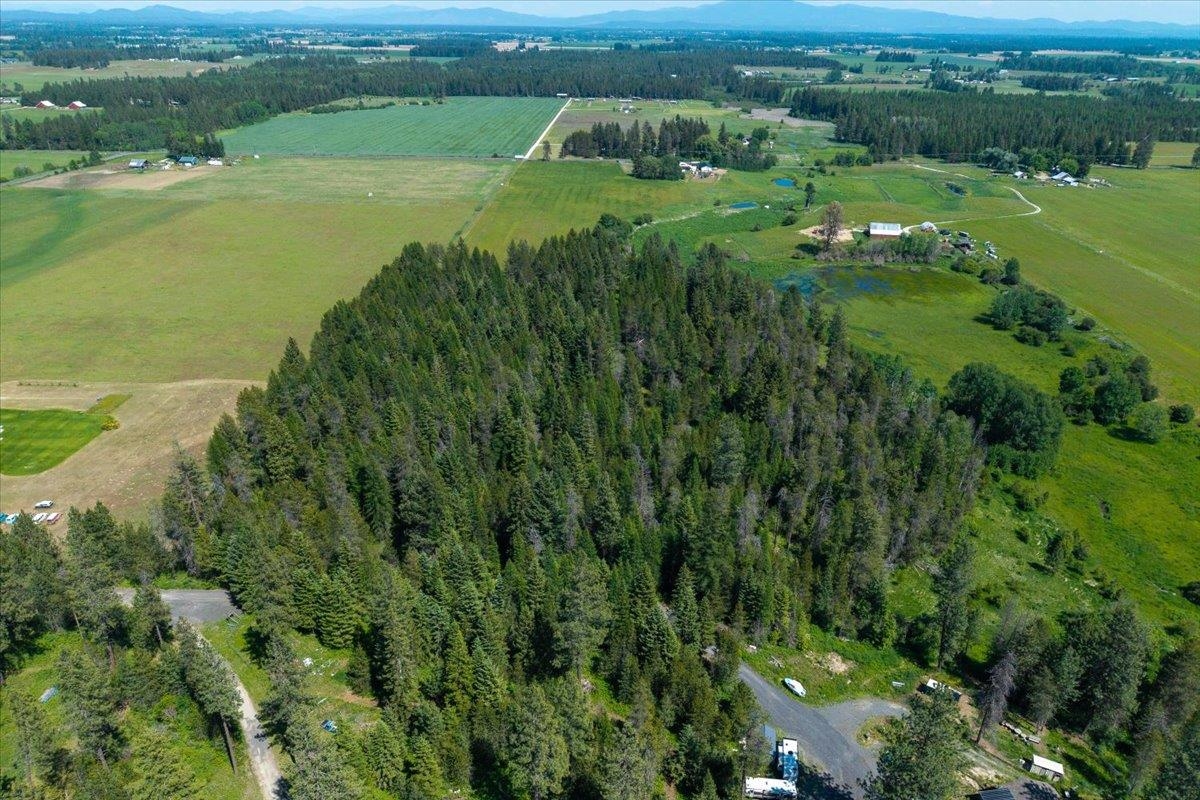 4668 Williams Valley Rd - Photo 13