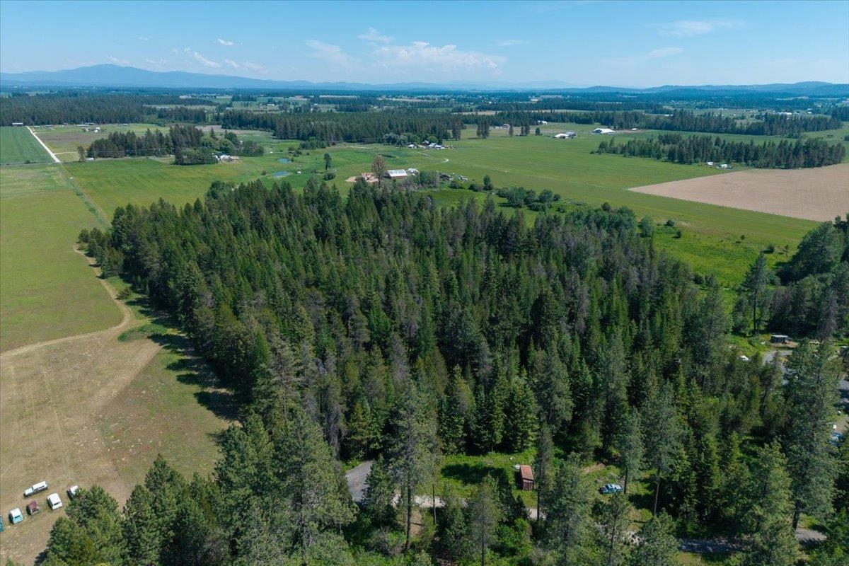 4668 Williams Valley Rd - Photo 15