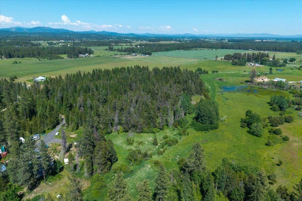 4668 Williams Valley Rd - Photo 16