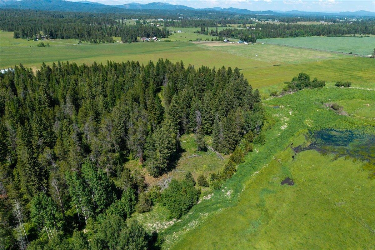 4668 Williams Valley Rd - Photo 17