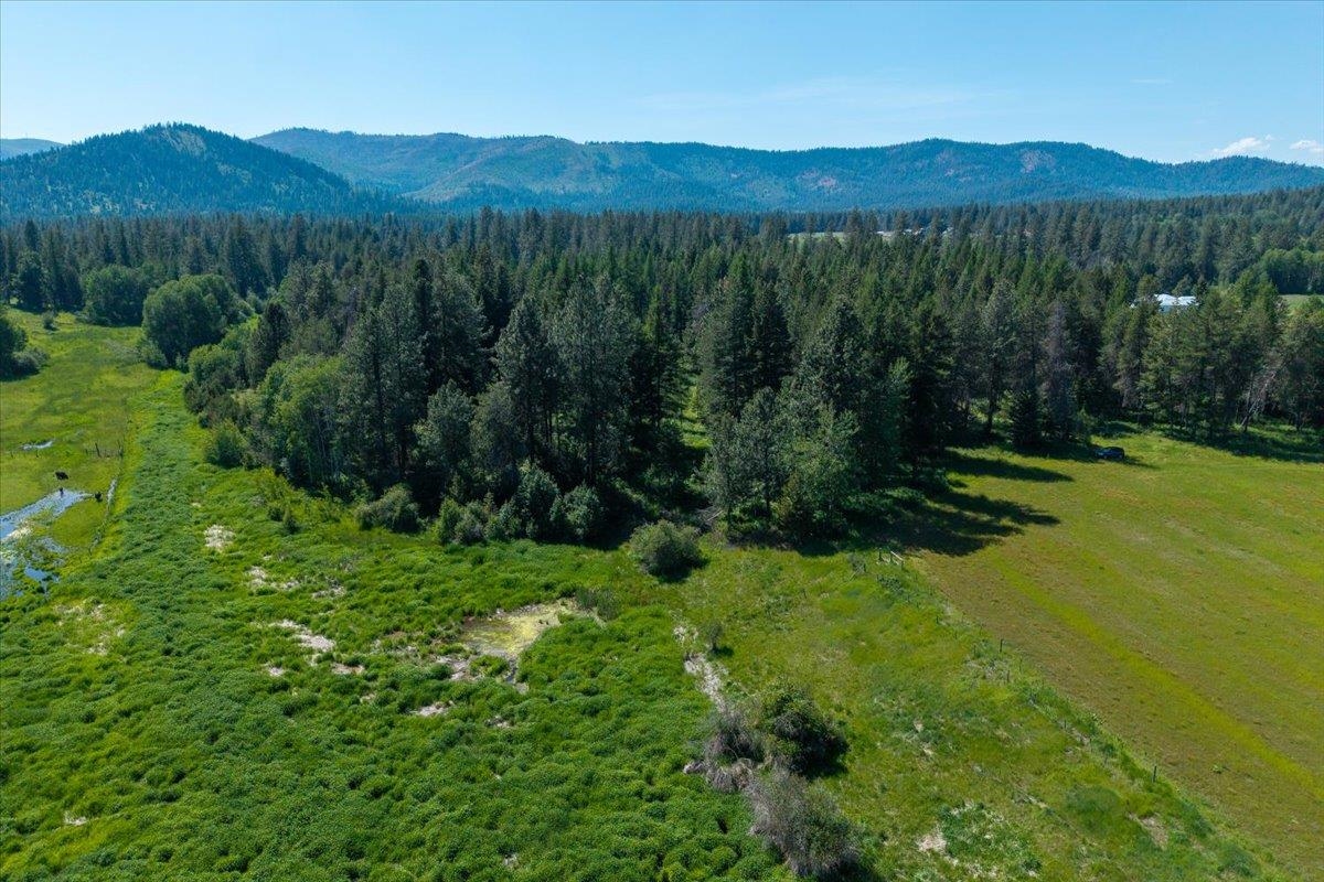 4668 Williams Valley Rd - Photo 19