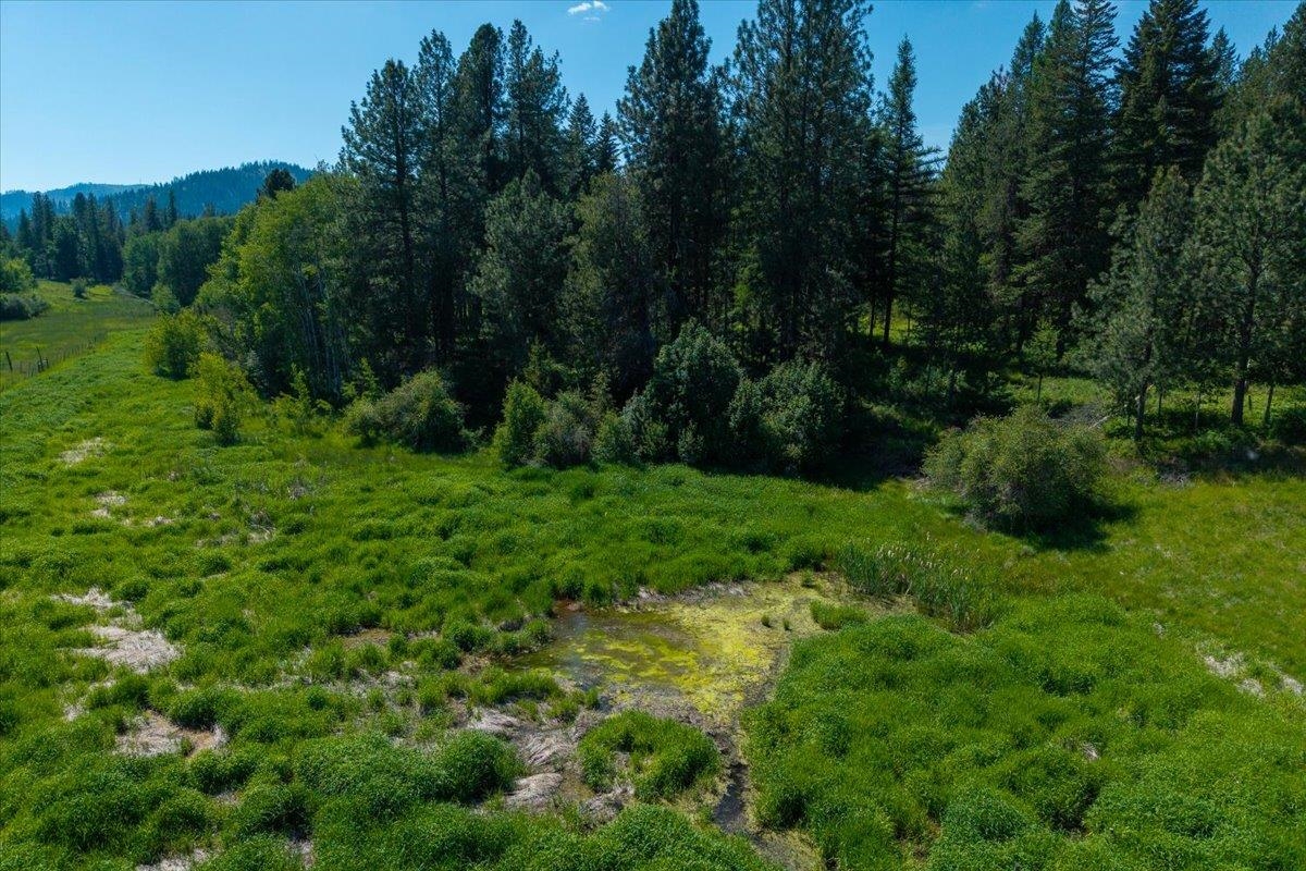 4668 Williams Valley Rd - Photo 20