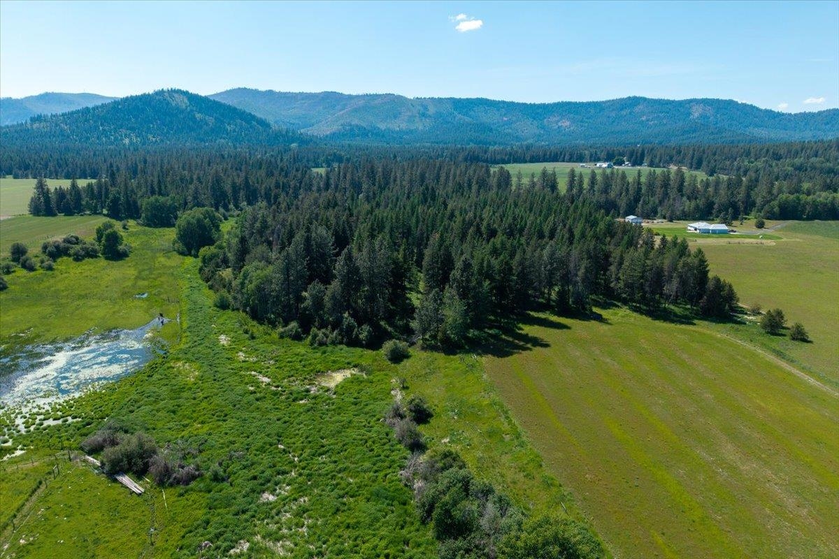 4668 Williams Valley Rd - Photo 25