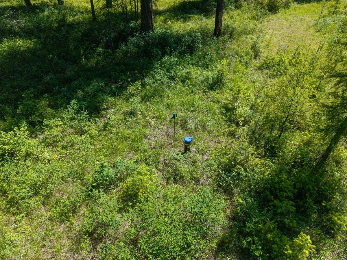 4668 Williams Valley Rd - Photo 26