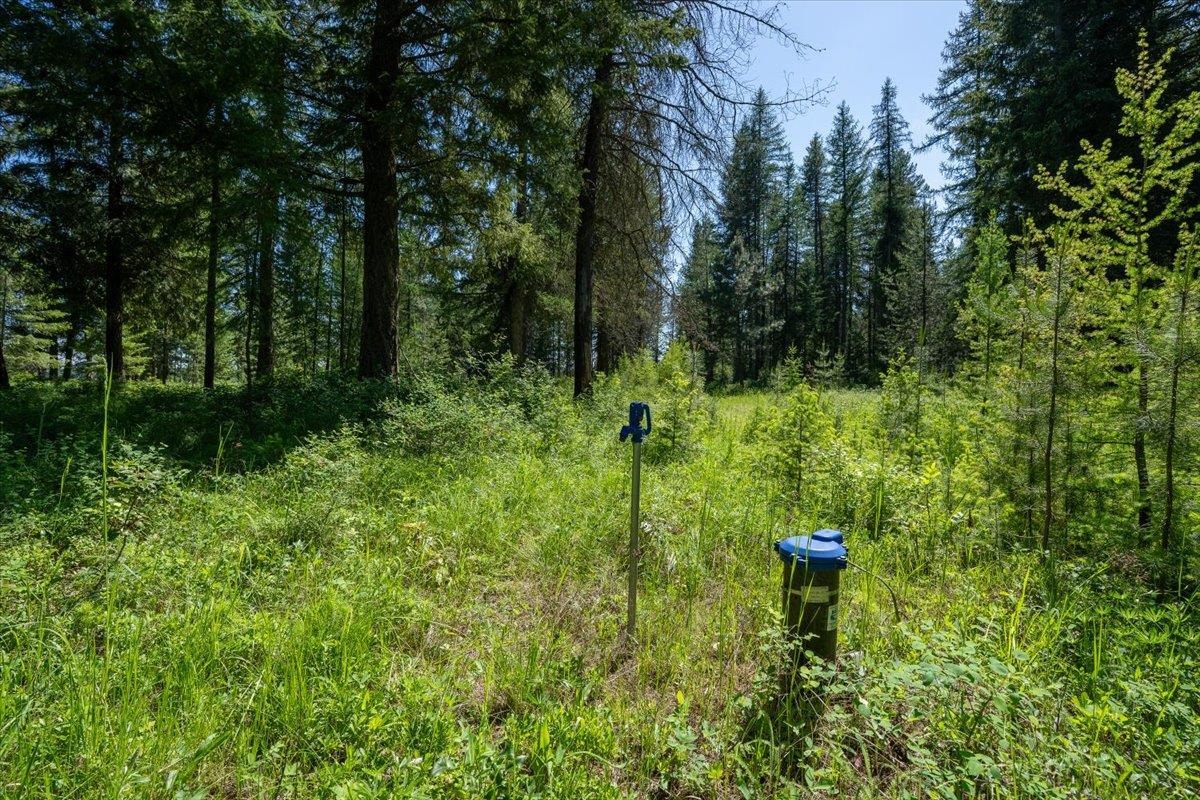 4668 Williams Valley Rd - Photo 27