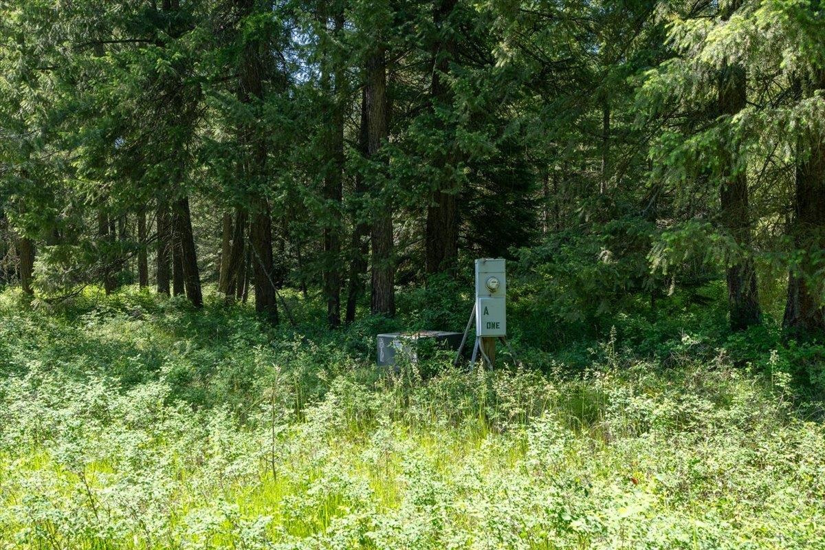 4668 Williams Valley Rd - Photo 28