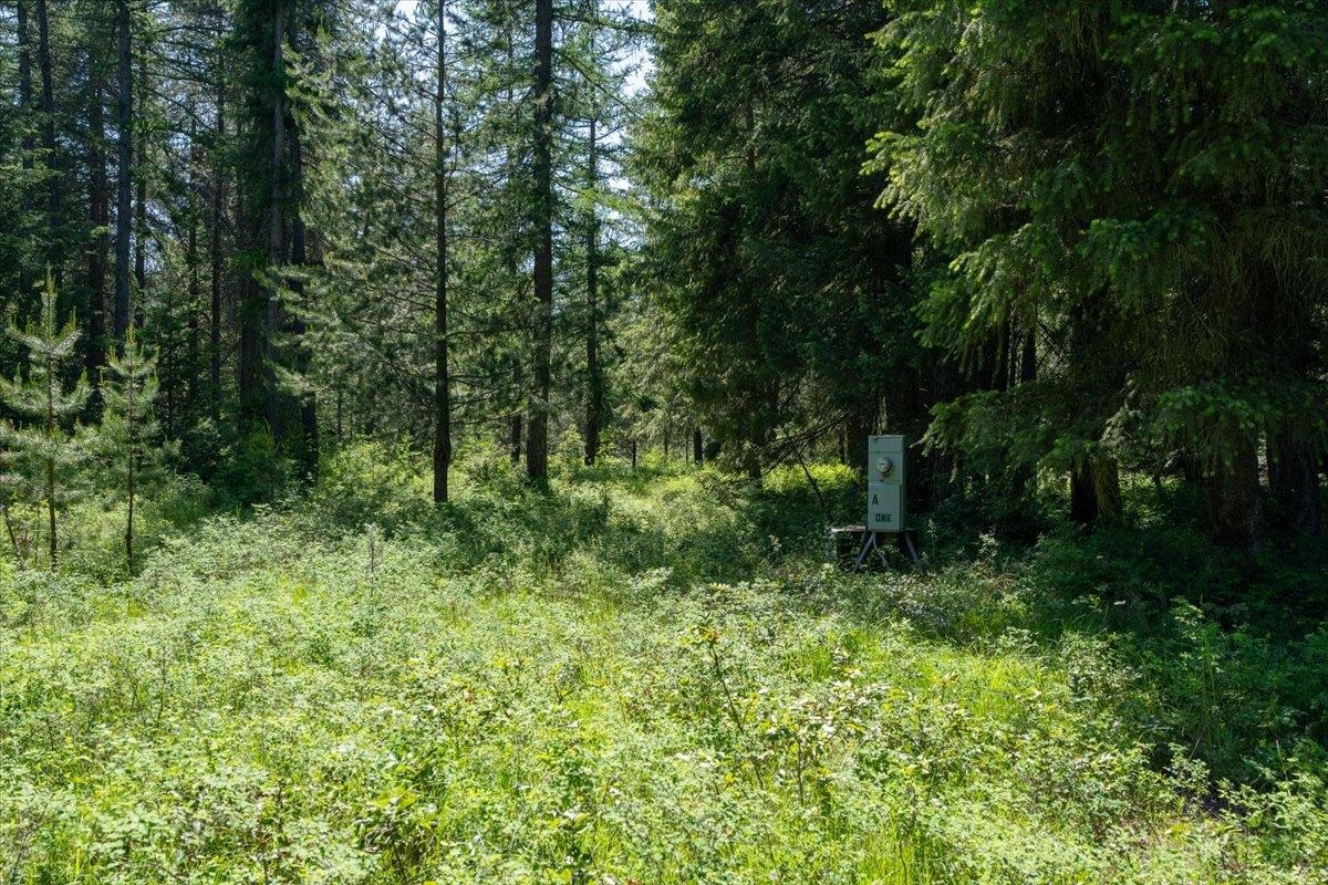 4668 Williams Valley Rd - Photo 29