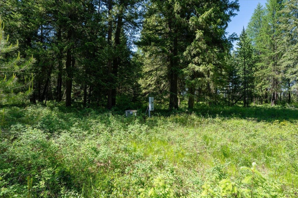 4668 Williams Valley Rd - Photo 30
