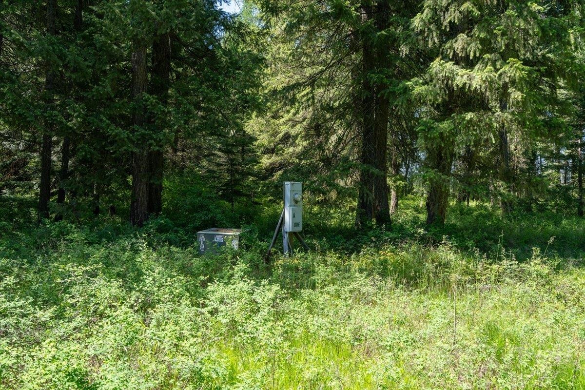 4668 Williams Valley Rd - Photo 31