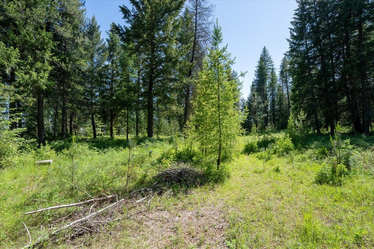 4668 Williams Valley Rd - Photo 34