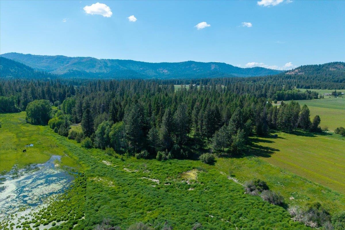 4668 Williams Valley Rd - Photo 39